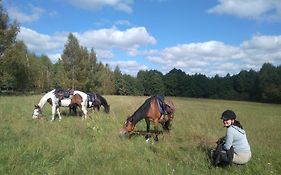 Agroturystyka Geronimo